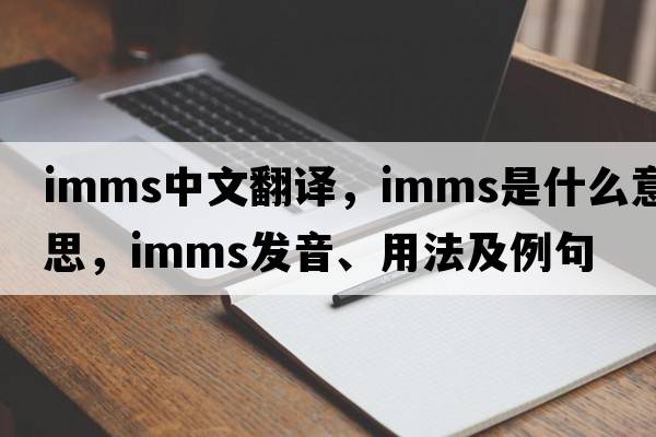 imms中文翻譯，imms是什么意思，imms發(fā)音、用法及例句