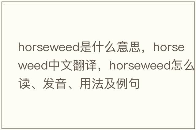 horseweed是什么意思，horseweed中文翻譯，horseweed怎么讀、發(fā)音、用法及例句