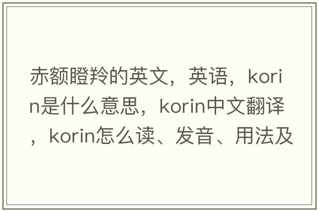 赤額瞪羚的英文，英語(yǔ)，korin是什么意思，korin中文翻譯，korin怎么讀、發(fā)音、用法及例句