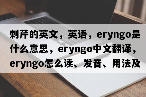 刺芹的英文，英語(yǔ)，eryngo是什么意思，eryngo中文翻譯，eryngo怎么讀、發(fā)音、用法及例句