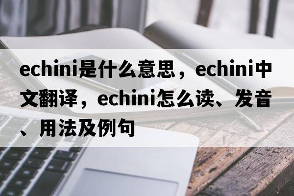 echini是什么意思，echini中文翻譯，echini怎么讀、發(fā)音、用法及例句