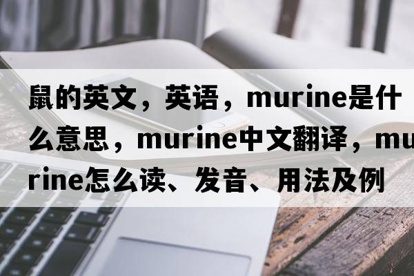 鼠的英文，英語(yǔ)，murine是什么意思，murine中文翻譯，murine怎么讀、發(fā)音、用法及例句
