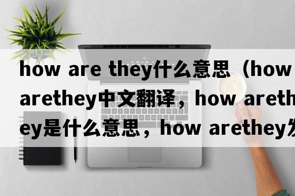 how are they什么意思（how arethey中文翻譯，how arethey是什么意思，how arethey發(fā)音、用法及例句）