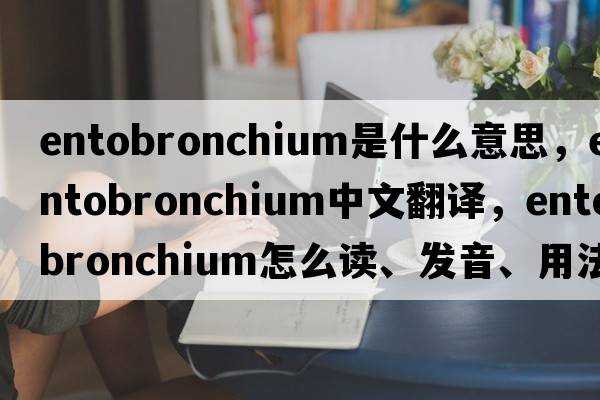 entobronchium是什么意思，entobronchium中文翻譯，entobronchium怎么讀、發(fā)音、用法及例句