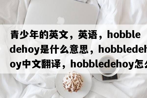 青少年的英文，英語(yǔ)，hobbledehoy是什么意思，hobbledehoy中文翻譯，hobbledehoy怎么讀、發(fā)音、用法及例句