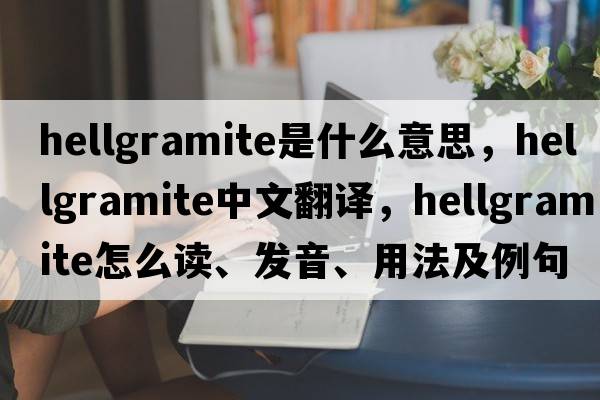 hellgramite是什么意思，hellgramite中文翻譯，hellgramite怎么讀、發(fā)音、用法及例句