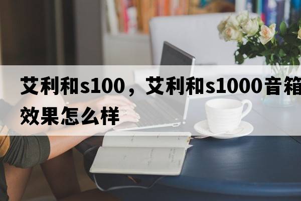 艾利和s100，艾利和s1000音箱效果怎么樣