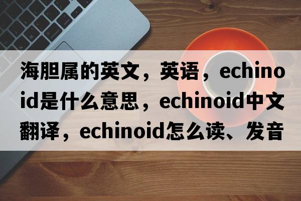 海膽屬的英文，英語(yǔ)，echinoid是什么意思，echinoid中文翻譯，echinoid怎么讀、發(fā)音、用法及例句