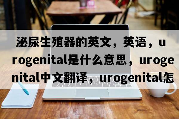  泌尿生殖器的英文，英語(yǔ)，urogenital是什么意思，urogenital中文翻譯，urogenital怎么讀、發(fā)音、用法及例句