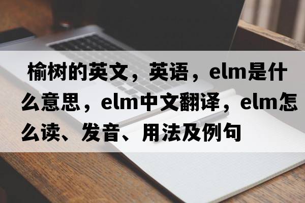  榆樹(shù)的英文，英語(yǔ)，elm是什么意思，elm中文翻譯，elm怎么讀、發(fā)音、用法及例句