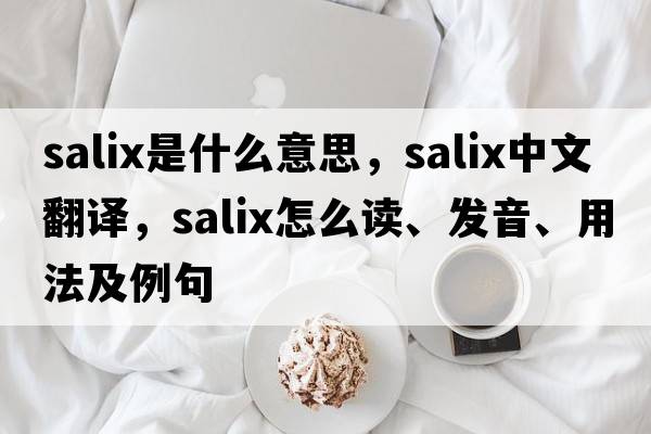 Salix是什么意思，Salix中文翻譯，Salix怎么讀、發(fā)音、用法及例句