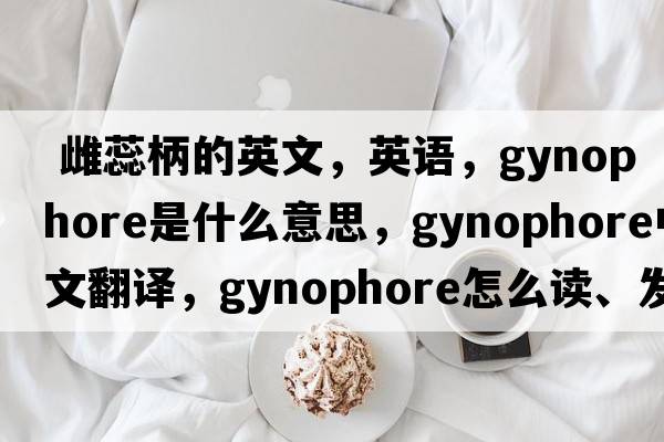  雌蕊柄的英文，英語(yǔ)，gynophore是什么意思，gynophore中文翻譯，gynophore怎么讀、發(fā)音、用法及例句