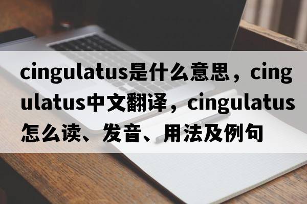 cingulatus是什么意思，cingulatus中文翻譯，cingulatus怎么讀、發(fā)音、用法及例句