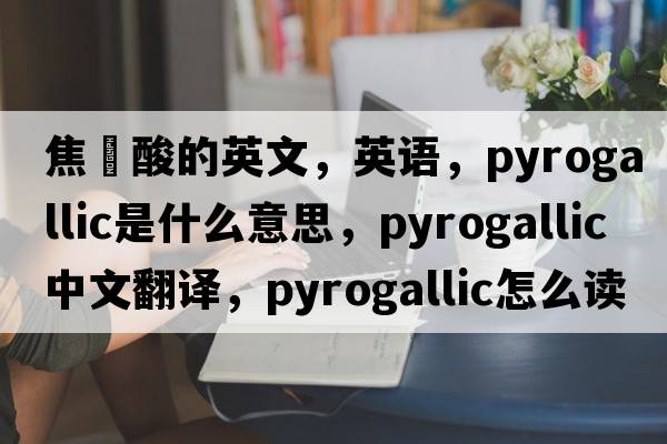 焦棓酸的英文，英語(yǔ)，pyrogallic是什么意思，pyrogallic中文翻譯，pyrogallic怎么讀、發(fā)音、用法及例句