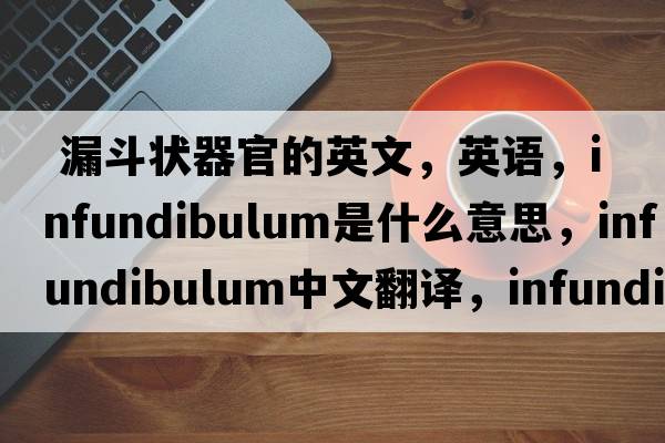  漏斗狀器官的英文，英語(yǔ)，infundibulum是什么意思，infundibulum中文翻譯，infundibulum怎么讀、發(fā)音、用法及例句