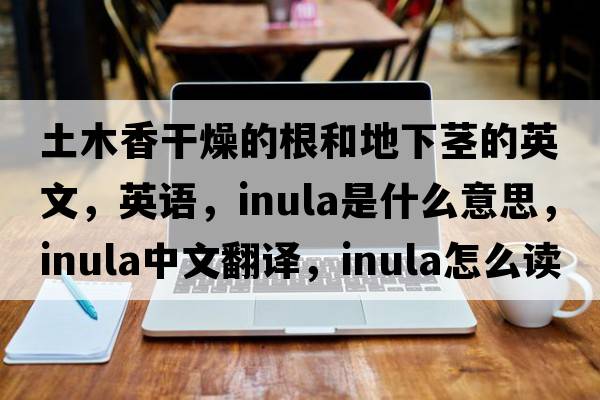 土木香干燥的根和地下莖的英文，英語(yǔ)，inula是什么意思，inula中文翻譯，inula怎么讀、發(fā)音、用法及例句