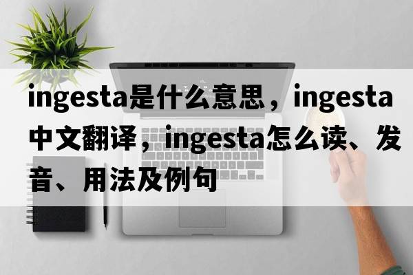 ingesta是什么意思，ingesta中文翻譯，ingesta怎么讀、發(fā)音、用法及例句