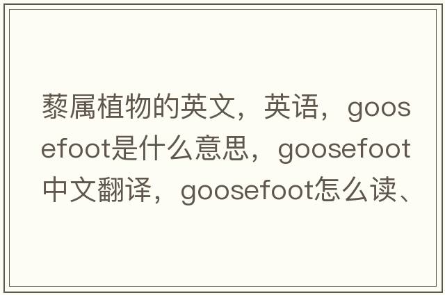 藜屬植物的英文，英語(yǔ)，goosefoot是什么意思，goosefoot中文翻譯，goosefoot怎么讀、發(fā)音、用法及例句