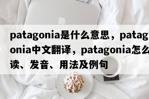 Patagonia是什么意思，Patagonia中文翻譯，Patagonia怎么讀、發(fā)音、用法及例句