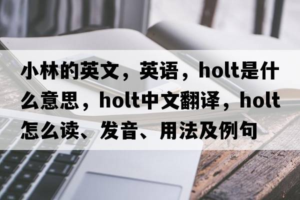 小林的英文，英語(yǔ)，holt是什么意思，holt中文翻譯，holt怎么讀、發(fā)音、用法及例句