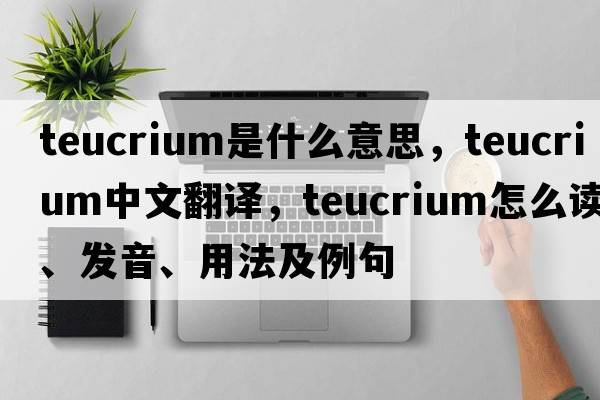 Teucrium是什么意思，Teucrium中文翻譯，Teucrium怎么讀、發(fā)音、用法及例句