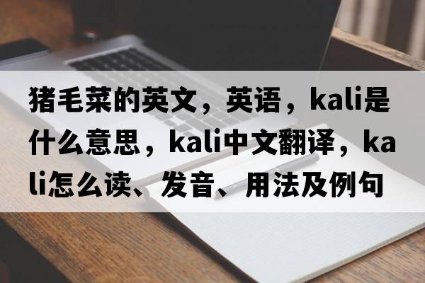 豬毛菜的英文，英語(yǔ)，kali是什么意思，kali中文翻譯，kali怎么讀、發(fā)音、用法及例句