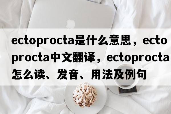 Ectoprocta是什么意思，Ectoprocta中文翻譯，Ectoprocta怎么讀、發(fā)音、用法及例句