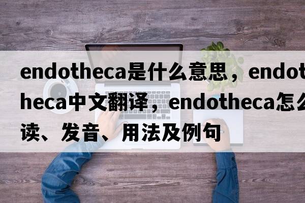 endotheca是什么意思，endotheca中文翻譯，endotheca怎么讀、發(fā)音、用法及例句