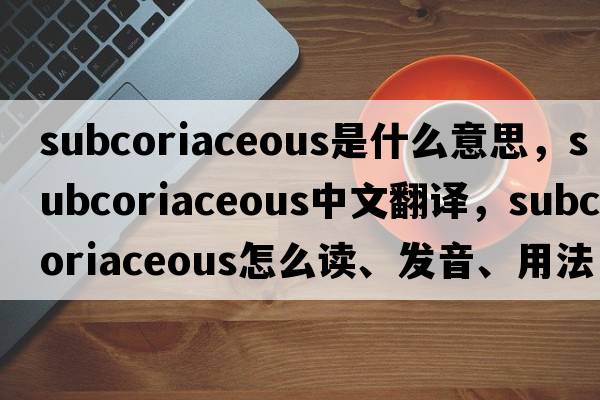 subcoriaceous是什么意思，subcoriaceous中文翻譯，subcoriaceous怎么讀、發(fā)音、用法及例句