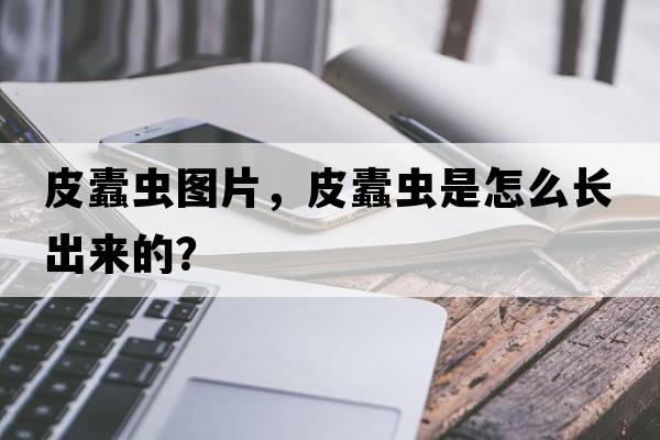 皮蠹蟲(chóng)圖片，皮蠹蟲(chóng)是怎么長(cháng)出來(lái)的？