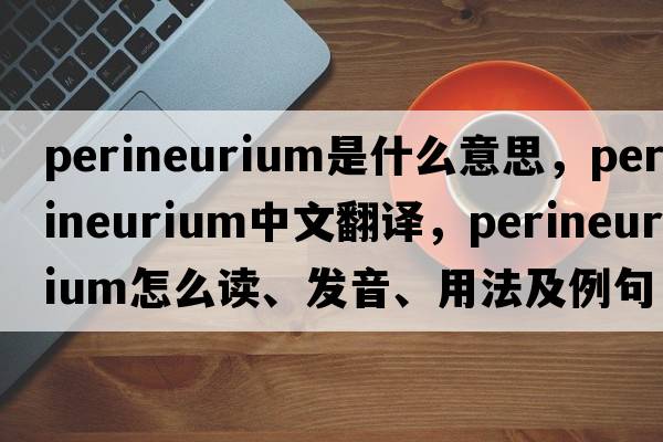 perineurium是什么意思，perineurium中文翻譯，perineurium怎么讀、發(fā)音、用法及例句