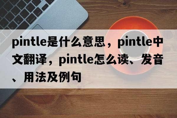 pintle是什么意思，pintle中文翻譯，pintle怎么讀、發(fā)音、用法及例句