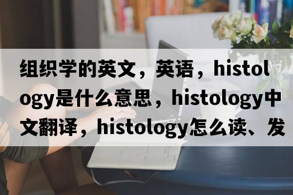 組織學(xué)的英文，英語(yǔ)，histology是什么意思，histology中文翻譯，histology怎么讀、發(fā)音、用法及例句
