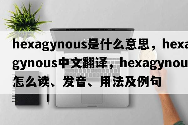 hexagynous是什么意思，hexagynous中文翻譯，hexagynous怎么讀、發(fā)音、用法及例句