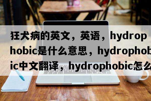 狂犬病的英文，英語(yǔ)，hydrophobic是什么意思，hydrophobic中文翻譯，hydrophobic怎么讀、發(fā)音、用法及例句