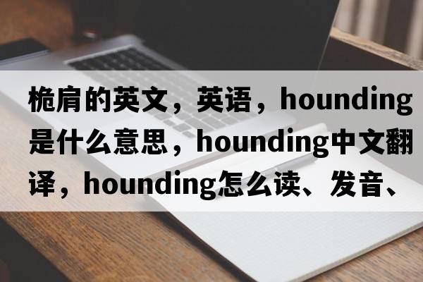 桅肩的英文，英語(yǔ)，hounding是什么意思，hounding中文翻譯，hounding怎么讀、發(fā)音、用法及例句