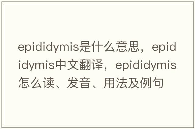 epididymis是什么意思，epididymis中文翻譯，epididymis怎么讀、發(fā)音、用法及例句