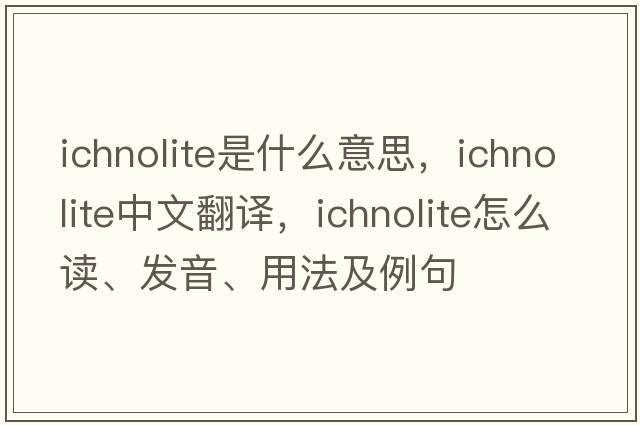 ichnolite是什么意思，ichnolite中文翻譯，ichnolite怎么讀、發(fā)音、用法及例句
