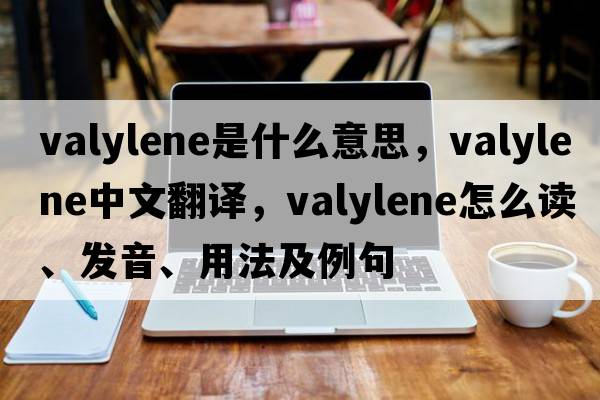 valylene是什么意思，valylene中文翻譯，valylene怎么讀、發(fā)音、用法及例句