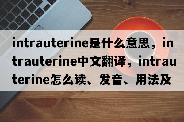 intrauterine是什么意思，intrauterine中文翻譯，intrauterine怎么讀、發(fā)音、用法及例句