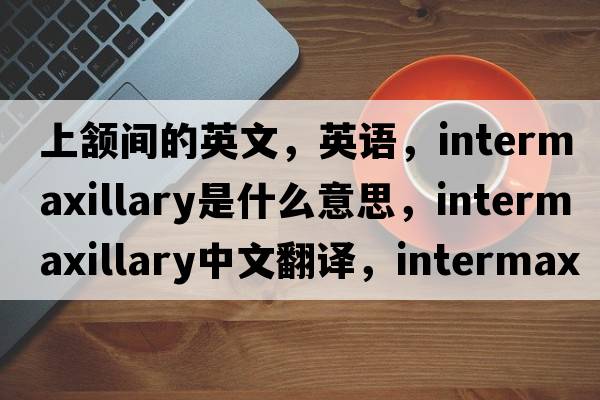 上頷間的英文，英語(yǔ)，intermaxillary是什么意思，intermaxillary中文翻譯，intermaxillary怎么讀、發(fā)音、用法及例句