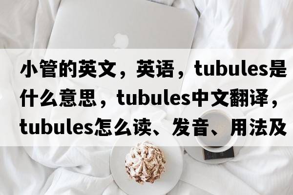 小管的英文，英語(yǔ)，Tubules是什么意思，Tubules中文翻譯，Tubules怎么讀、發(fā)音、用法及例句
