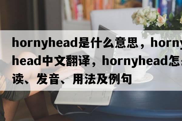 hornyhead是什么意思，hornyhead中文翻譯，hornyhead怎么讀、發(fā)音、用法及例句