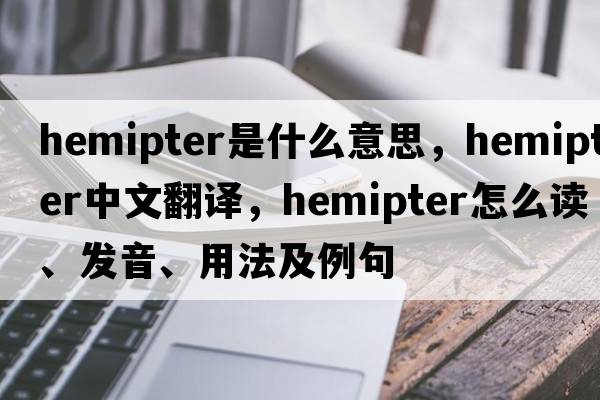 hemipter是什么意思，hemipter中文翻譯，hemipter怎么讀、發(fā)音、用法及例句