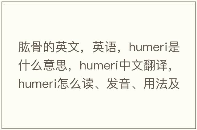 肱骨的英文，英語(yǔ)，humeri是什么意思，humeri中文翻譯，humeri怎么讀、發(fā)音、用法及例句