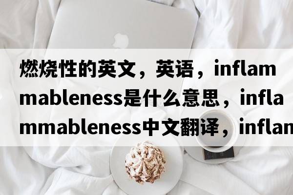 燃燒性的英文，英語(yǔ)，inflammableness是什么意思，inflammableness中文翻譯，inflammableness怎么讀、發(fā)音、用法及例句