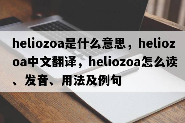 Heliozoa是什么意思，Heliozoa中文翻譯，Heliozoa怎么讀、發(fā)音、用法及例句