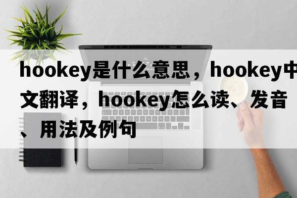 hookey是什么意思，hookey中文翻譯，hookey怎么讀、發(fā)音、用法及例句