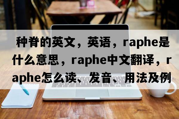  種脊的英文，英語(yǔ)，raphe是什么意思，raphe中文翻譯，raphe怎么讀、發(fā)音、用法及例句