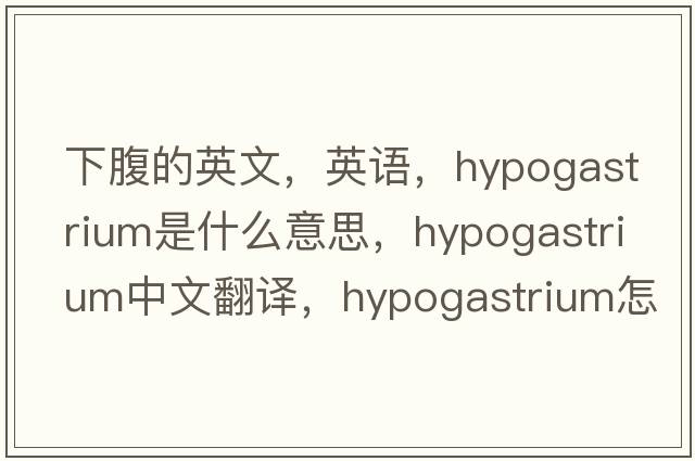 下腹的英文，英語(yǔ)，hypogastrium是什么意思，hypogastrium中文翻譯，hypogastrium怎么讀、發(fā)音、用法及例句